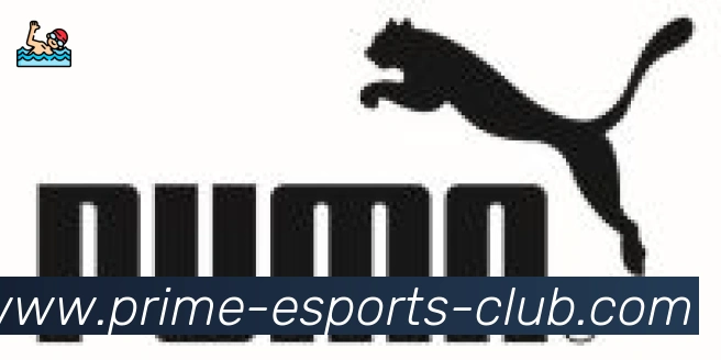 DOTA竞猜合作伙伴
